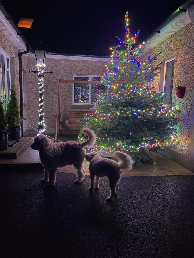Annie Dee'S Guest Accommodation Ballygowan Exterior photo